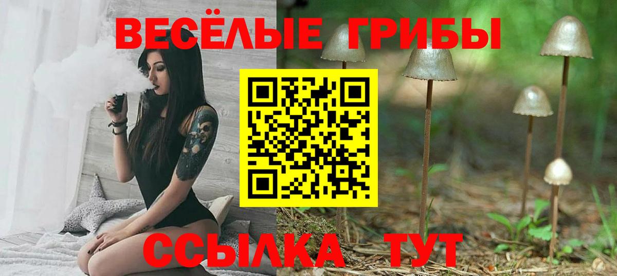 Галлюциногенные грибы мицелий Волхов