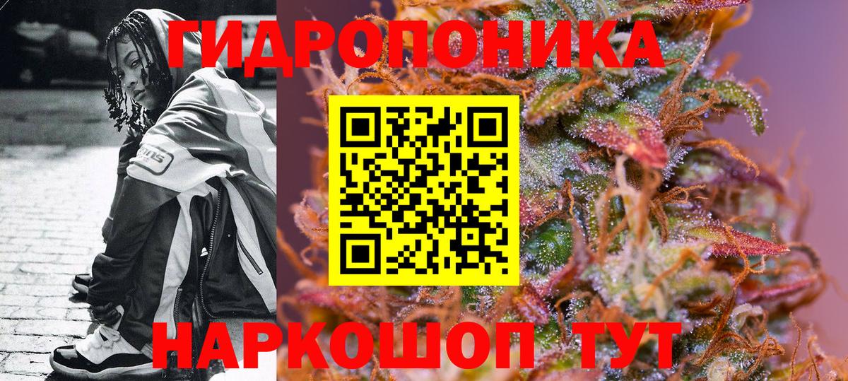 Бошки марихуана марихуана Волхов